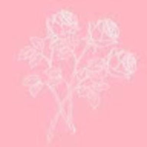 Meet your Posher, Ronni